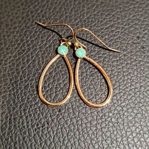 Drop fashion earrings